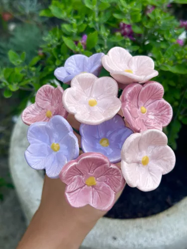 Rózsaszín primula csokor - 9 darabos