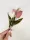 Leveles tulipán csokor -3 darabos