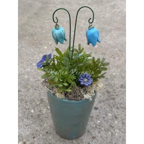 Kékes közepes kollekció