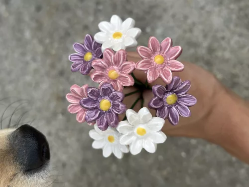 Rózsaszín mini réti margaréta csokor - 9 darabos